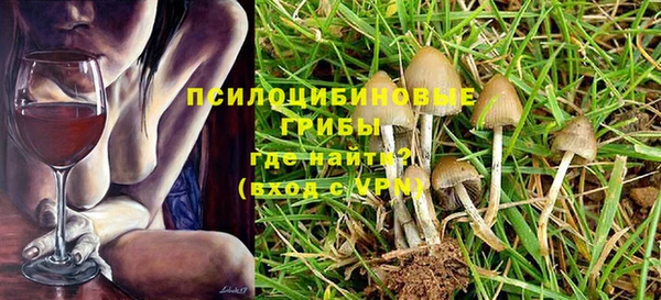 соль ск Алзамай