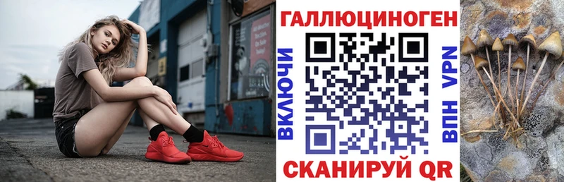 Галлюциногенные грибы Psilocybine cubensis  даркнет сайт  Заозёрный 